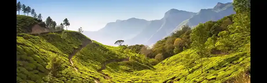assam